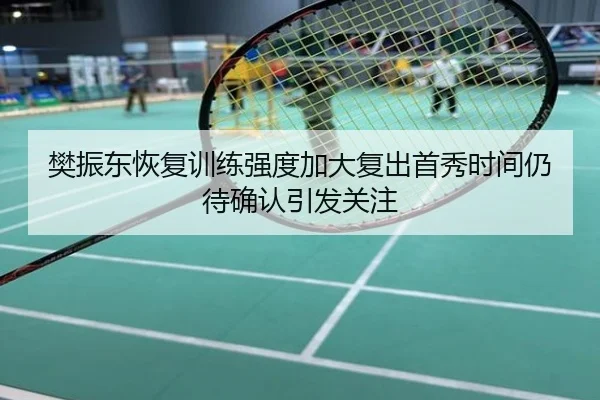 樊振东恢复训练强度加大复出首秀时间仍待确认引发关注
